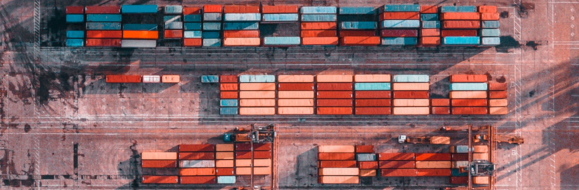 Focus. Gestoría en Trámites de Comercio Exterior y Aduanas con las distintas dependencias gubernamentales